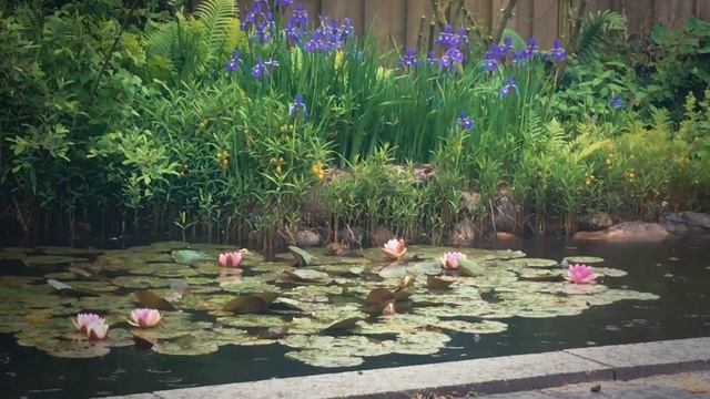 Цветы на огороде смотреть онлайн