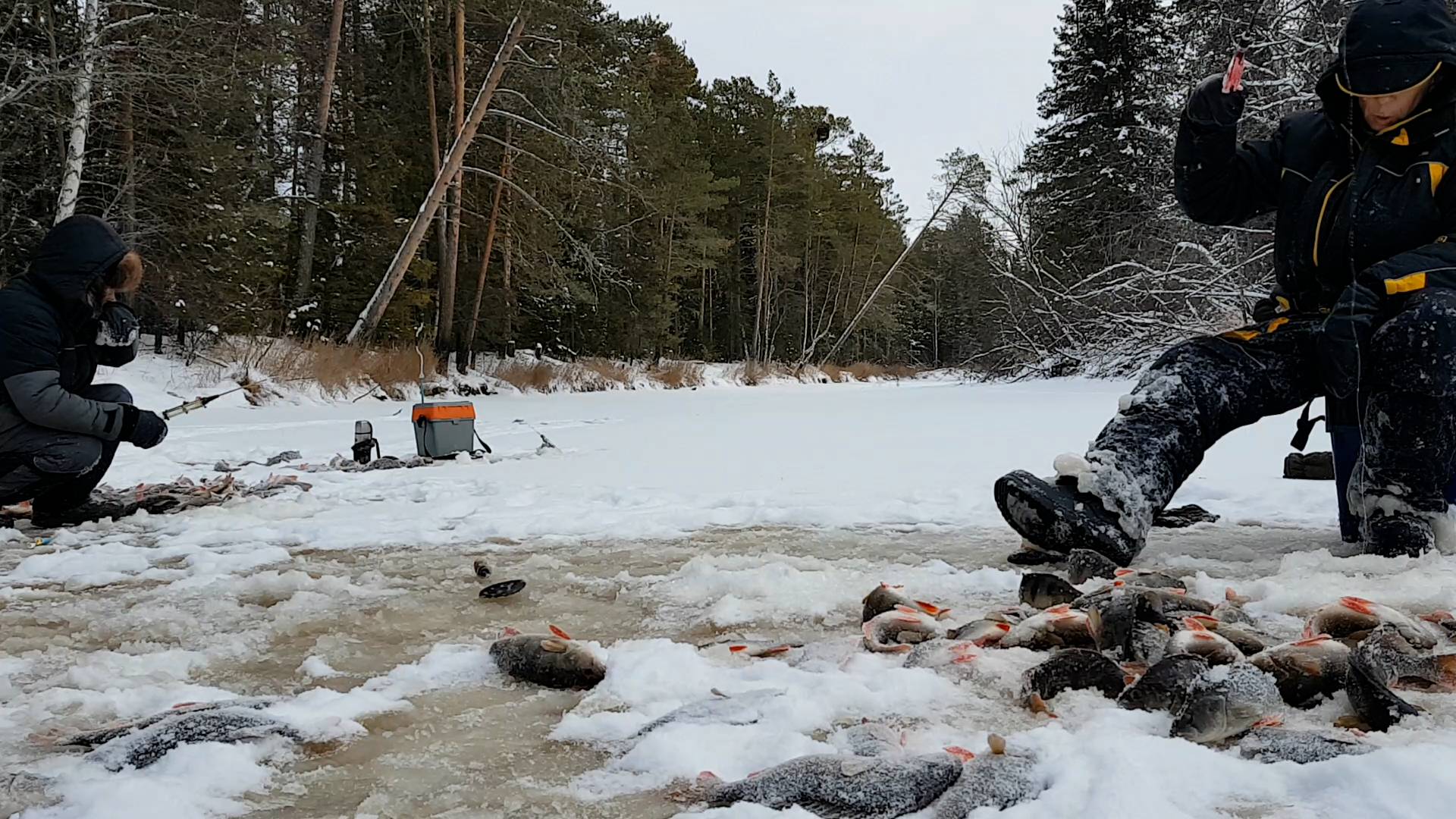 Первый лёд на таёжной реке. Окунёвый джекпот-2 смотреть онлайн