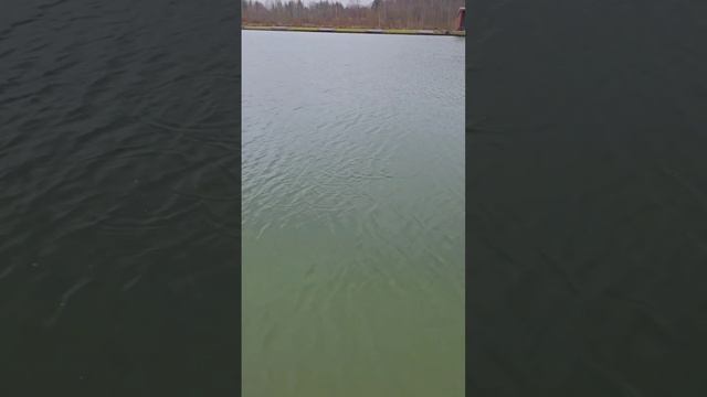 Не на то ловим рыбу! Ловить надо на смотреть онлайн