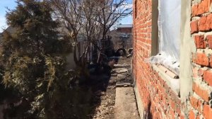 Дом в с. Чардым, Саратовская область