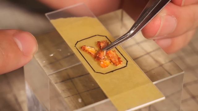 Залипательные видео - миниатюрный домик