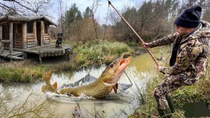 Ловля на паук в диких заводях. Щуки монстров!