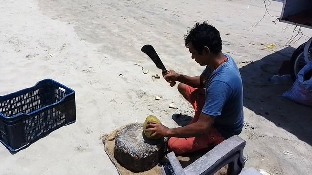 Арамболь. Кокосы на пляже.