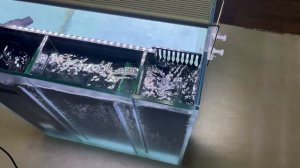 Переделка аквариума в аквариум с задним сампом.