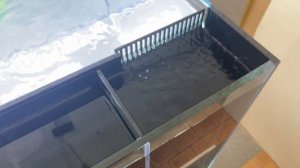 Аквариум с внутренним сампом. Проверка перед отправкой в Москву.