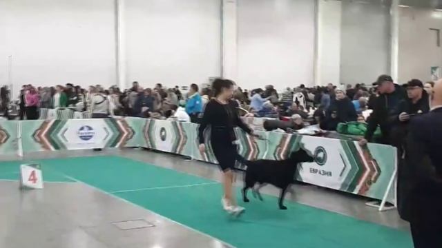 Лужаночка Лури Евразия 17.11.24. RCAC CC смотреть онлайн