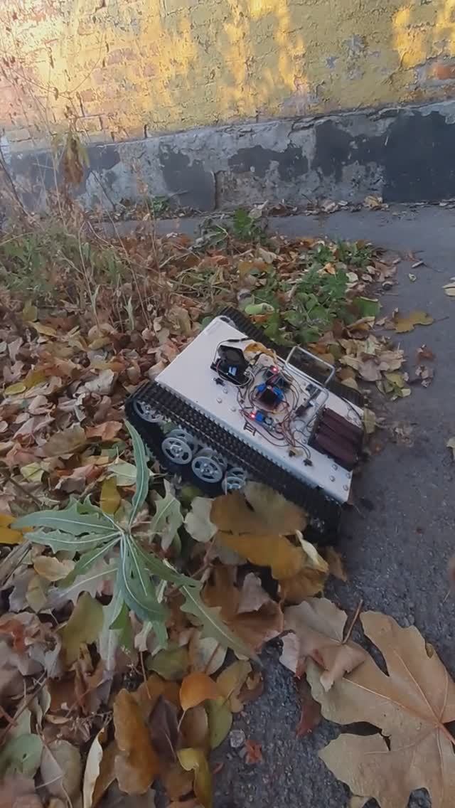 Робот и листья - 6 смотреть онлайн