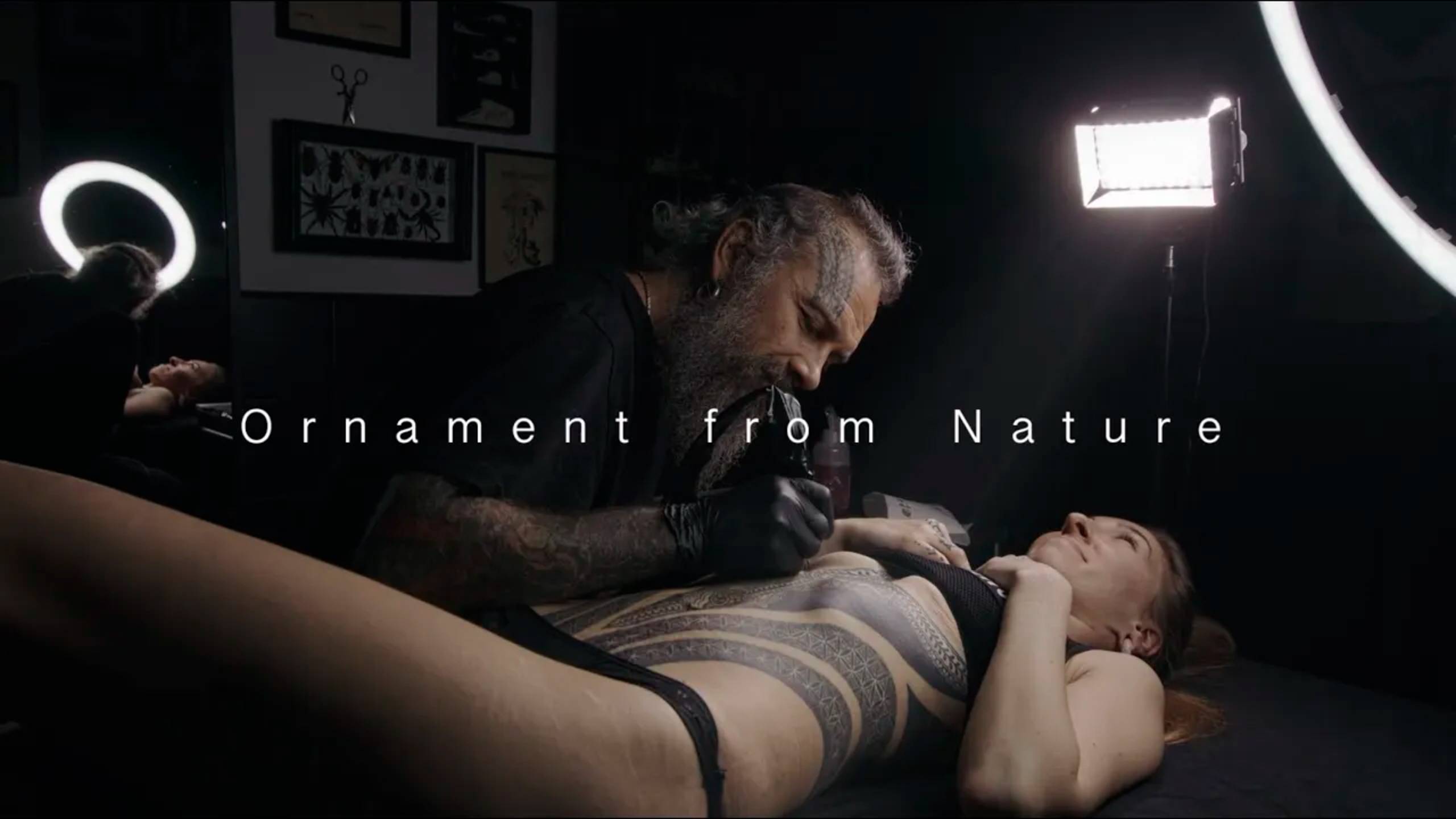 Ornament from Nature смотреть онлайн