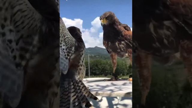 Подпишись на Нас для тебя это пустяк, а нам будет очень приятно смотреть онлайн