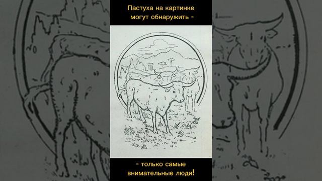 Тест на внимательность смотреть онлайн