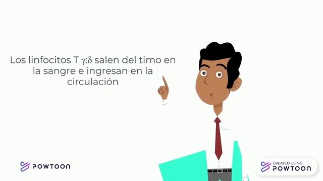 Desarrollo linfocitos T смотреть онлайн