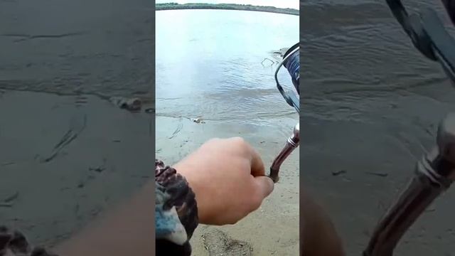 Второй крупнячок следом смотреть онлайн