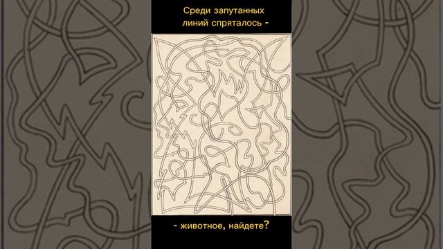 Тест на внимательность смотреть онлайн