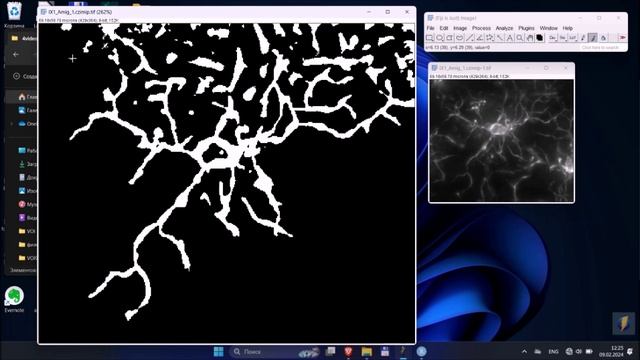 Использование ImageJ для обработки изображений микроглии смотреть онлайн
