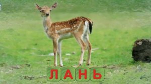 Вчимося читати-рятуй друзів.Вчимо букви, літери. Вчимося читати. Частина 3