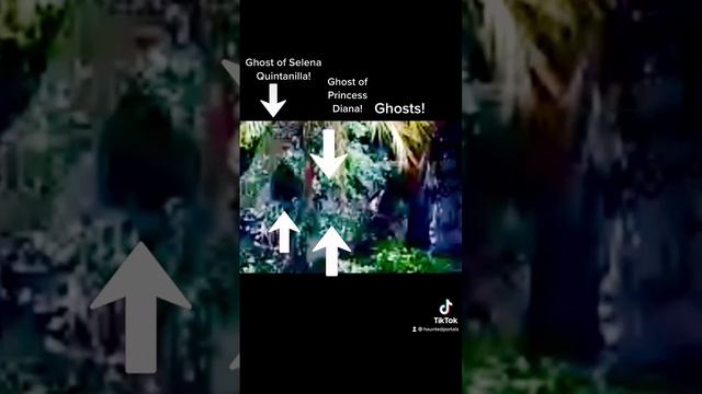 Ghosts of Selena Quintanilla, Princess Diana and Other Ghosts! смотреть онлайн