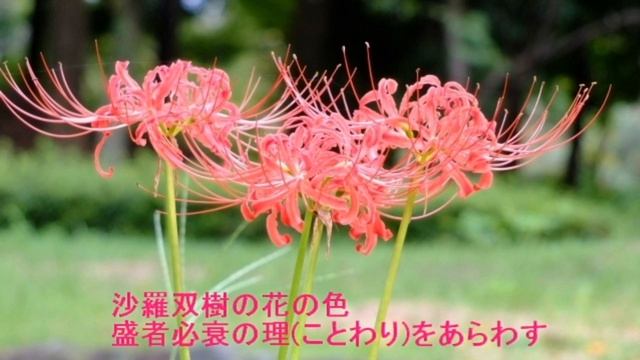 平家物語冒頭歌(古典ソング)カラオケ смотреть онлайн