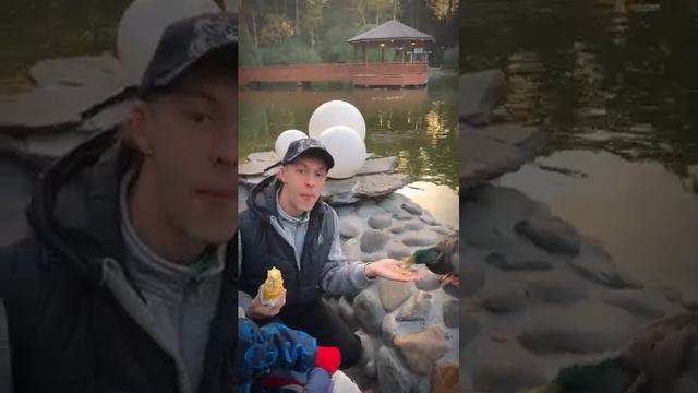 Почему НЕЛЬЗЯ кормить из рук. Посмотри что произойдёт смотреть онлайн