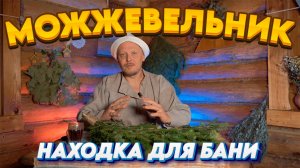 МОЖЖЕВЕЛОВЫЙ ВЕНИК ДЛЯ БАНИ