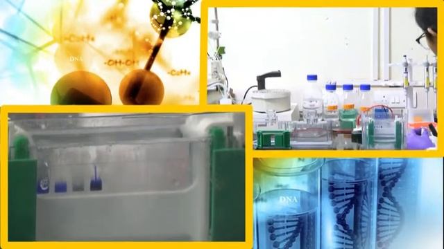 Lecture 33 : Quality and Quantity of the Isolated Protein смотреть онлайн