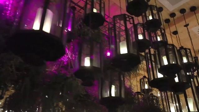 Seasons Restaurant - Wild Dinner (Event) смотреть онлайн