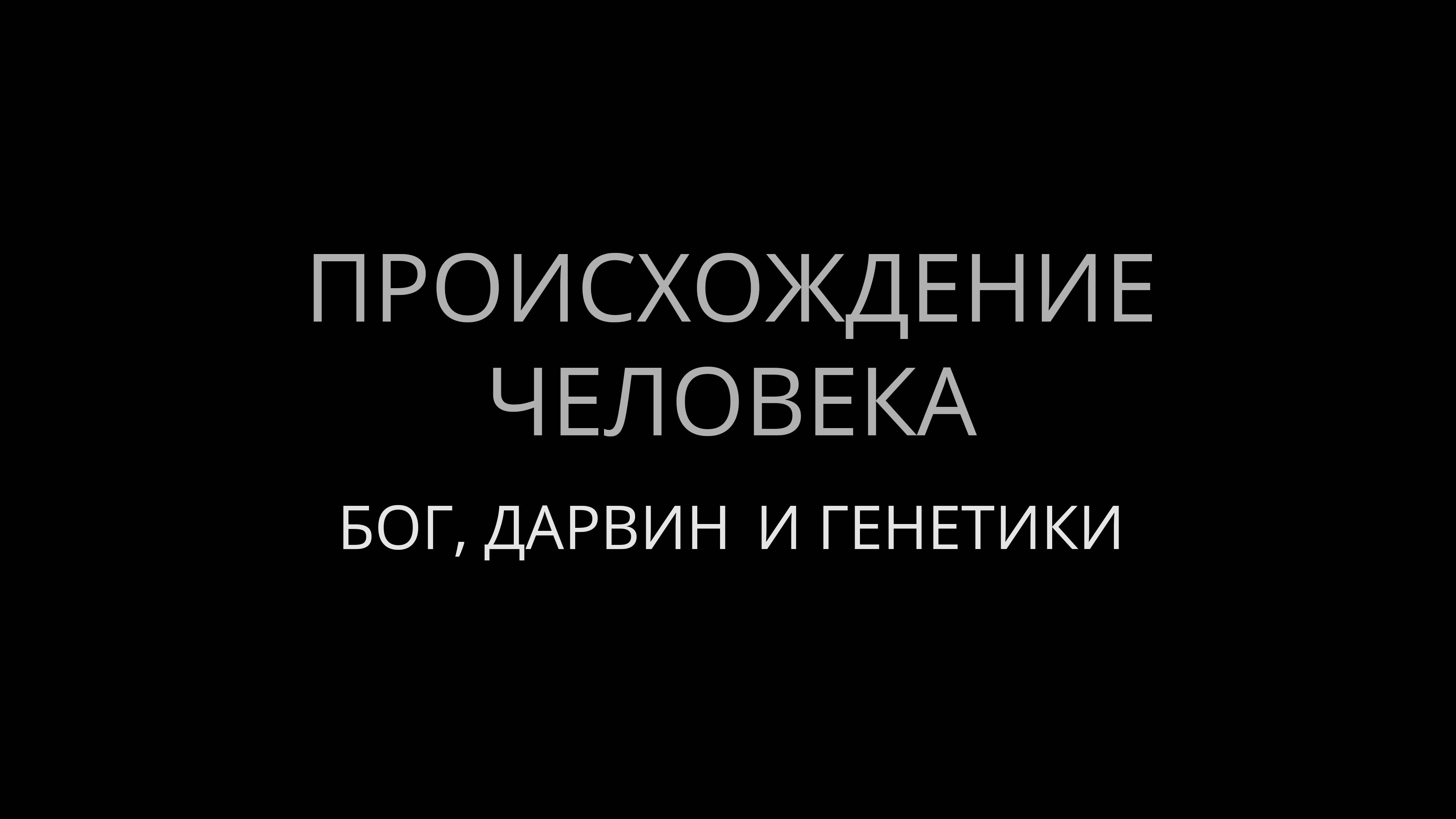 Происхождение человека. Бог, Дарвин и генетики. смотреть онлайн