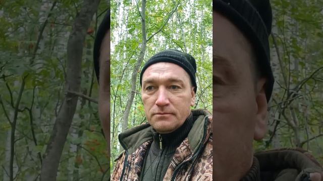 4 сентября 2024 г. смотреть онлайн