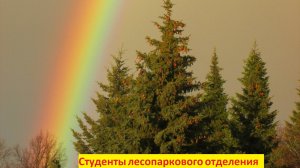 Обучение профессии лесовод