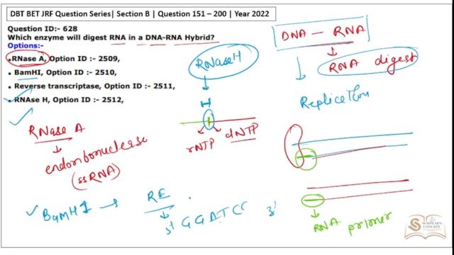 Question 151 - 200 | Section B | DBT JRF 2022 смотреть онлайн