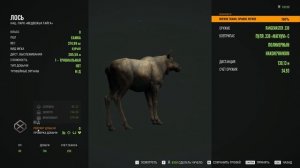 ОХОТА В the hunter call of the wild.
ЛОСИ РУШАТ ПЛАНЫ!