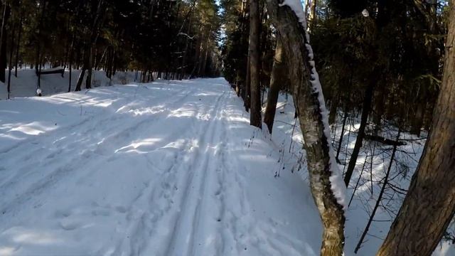 Лыжный денек 11 февраля 2017 г. смотреть онлайн