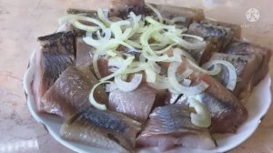 Селедка в банке.