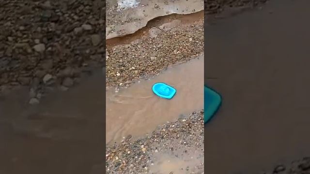 Пускаем КОРАБЛИКИ по ручью/ Полное ВИДЕО на КАНАЛЕ/ #весна #ручей #деревенскаяжизнь #корабли #село смотреть онлайн