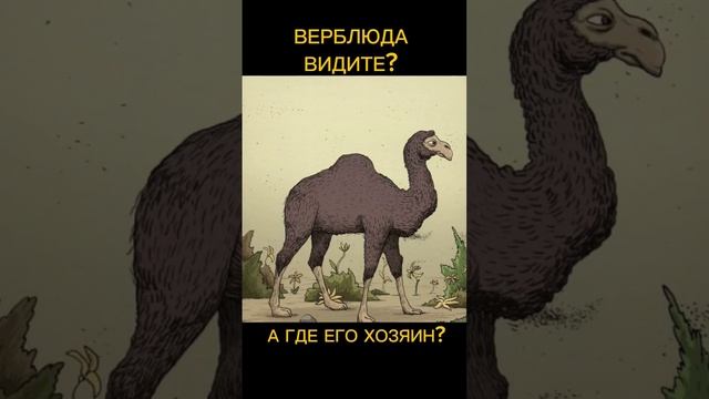 Тест на внимательность смотреть онлайн