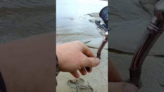 Затишье закончилось. Крупный язь на точке. смотреть онлайн