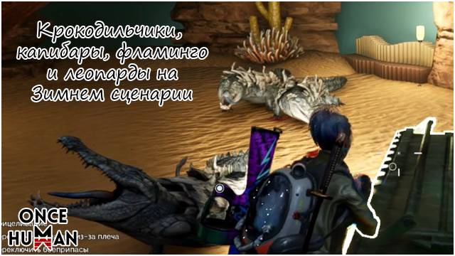 Рар-питомцы с Манибуса на Зимнем Сценарии смотреть онлайн