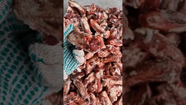 Основание корня говяжьего