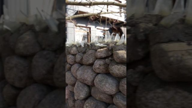 ЖЕСТЬ! Вот это забор!!!