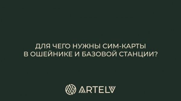Оффлайн карты в GPS TRACKER от ARTELV