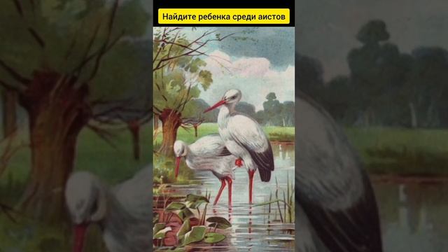 Тест на внимательность смотреть онлайн
