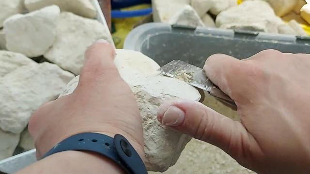 АСМР ~ Чистка мела. Сколько ржавчины ~ ASMR ~ chalk cleaning смотреть онлайн