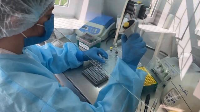 2 03 Проведение ПЦР диагностики смотреть онлайн