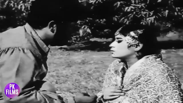 THAH (HIT PUNJABI FILM) SUDHIR, ROZINA, SHAHID, SULTAN RAHI, RANGEELA - FULL PAKISTANI MOVIE смотреть онлайн