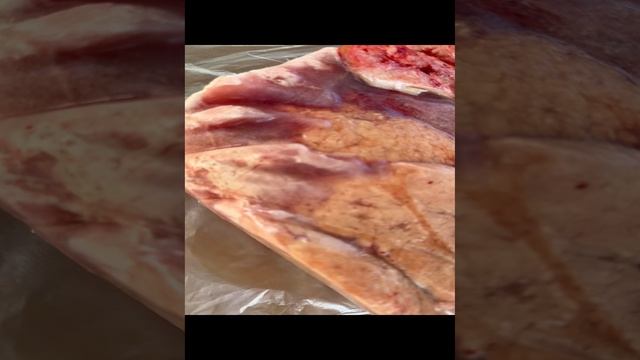 Вымя говяжье