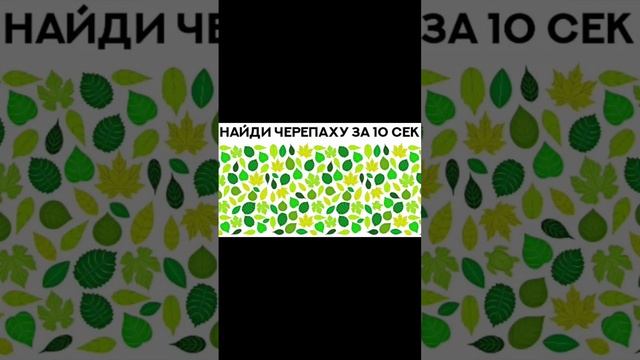 Тест на внимательность смотреть онлайн