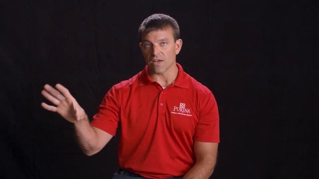 People of Purina: Mike Jerina смотреть онлайн