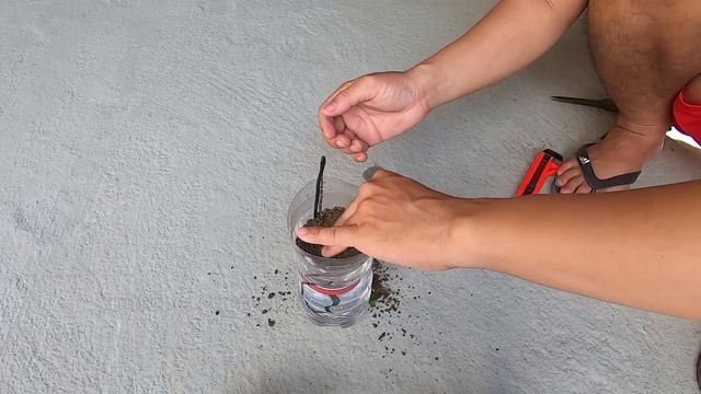 sử dụng chai nhựa thành hệ thống tưới nước cho cây tự động смотреть онлайн