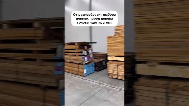 #belmash готовится к Фестивалю столярного дела #shorts #столярка #белмаш смотреть онлайн