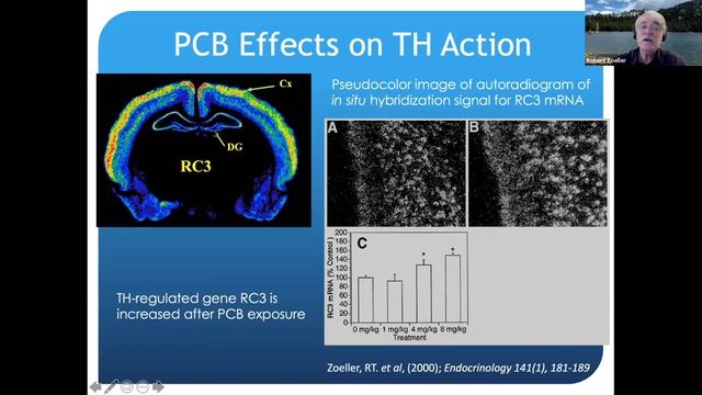 Inadequate standards of chemical safety: how societies harm their populations (i.e. YOU) смотреть онлайн