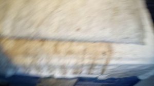 зимовка пчёл на 19.11.24